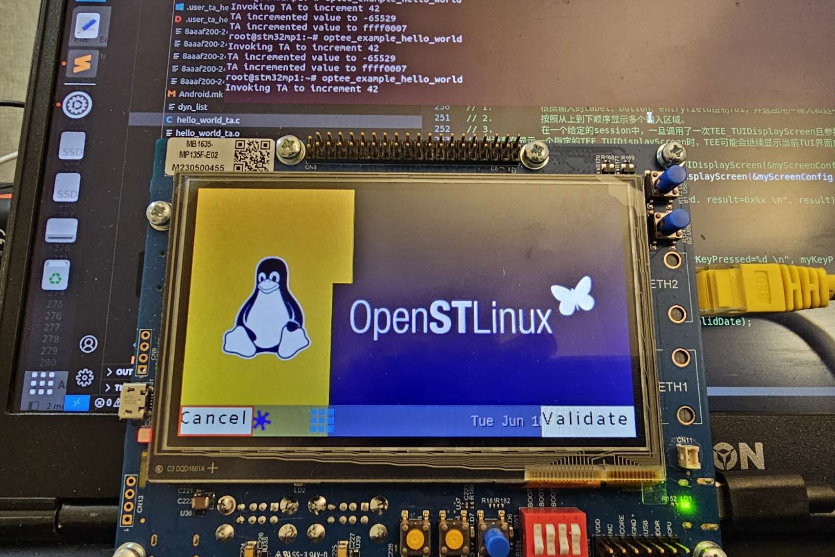 ARM TrustZone Streaming Client Project Image
